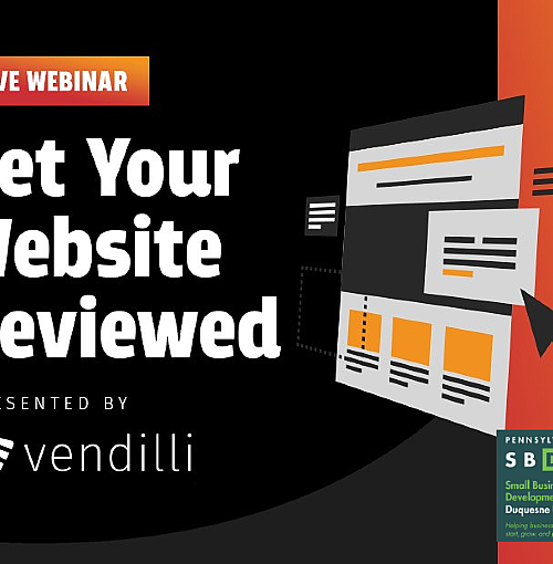 Get Your Website Reviewed (webinar)