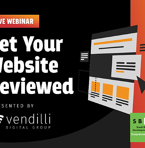 Get Your Website Reviewed (Webinar)