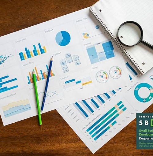 Small Business Insights from the IRS (webinar)
